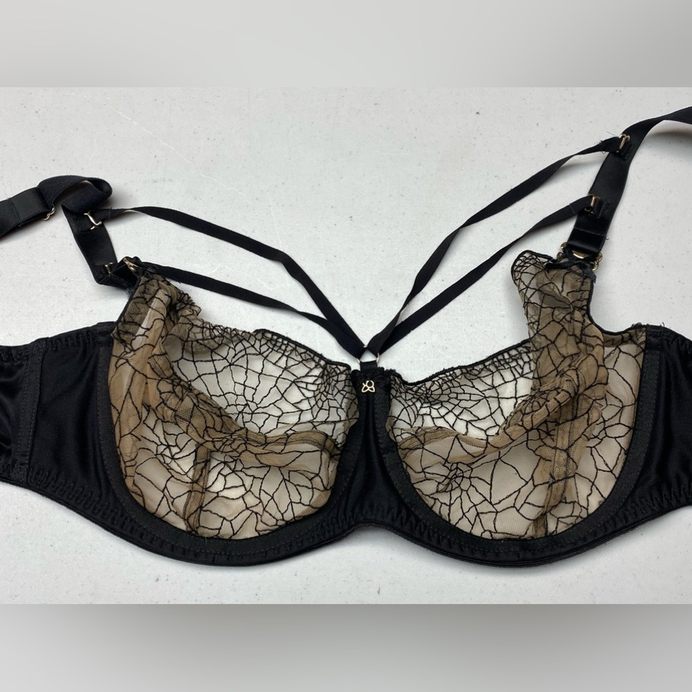 Bella Misteria SHEER/BLK Cage Bra, 34DD *P1032